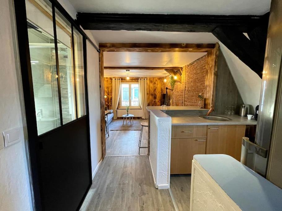 Selestat Centre - L'Unique - 4 Pers - Cosy Apartment ภายนอก รูปภาพ